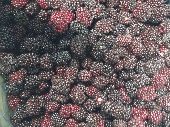 Frozen blackberries