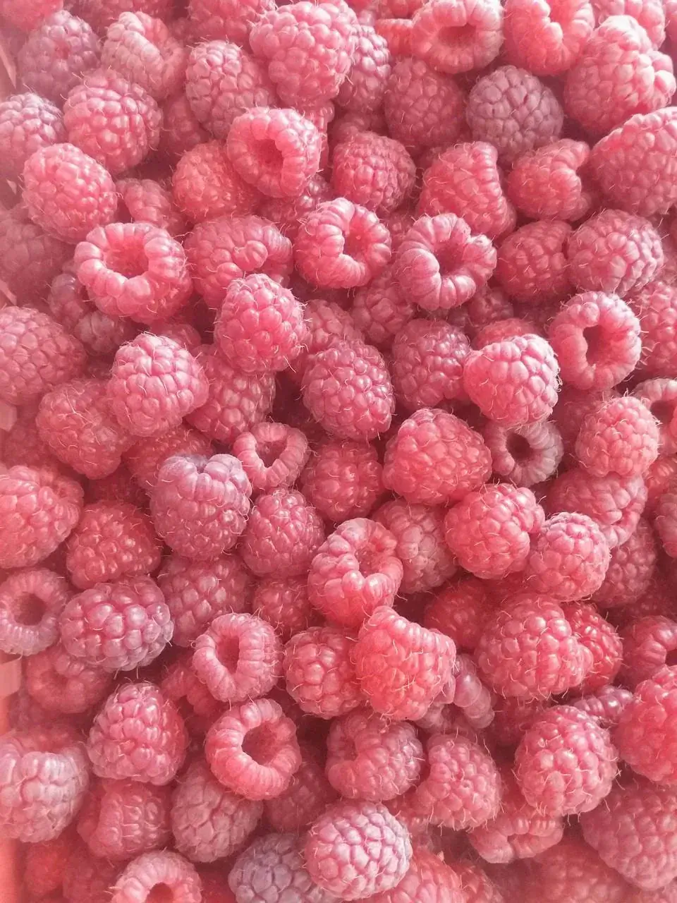 Frozen raspberries