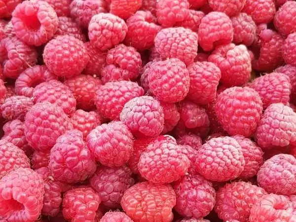 Frozen raspberries