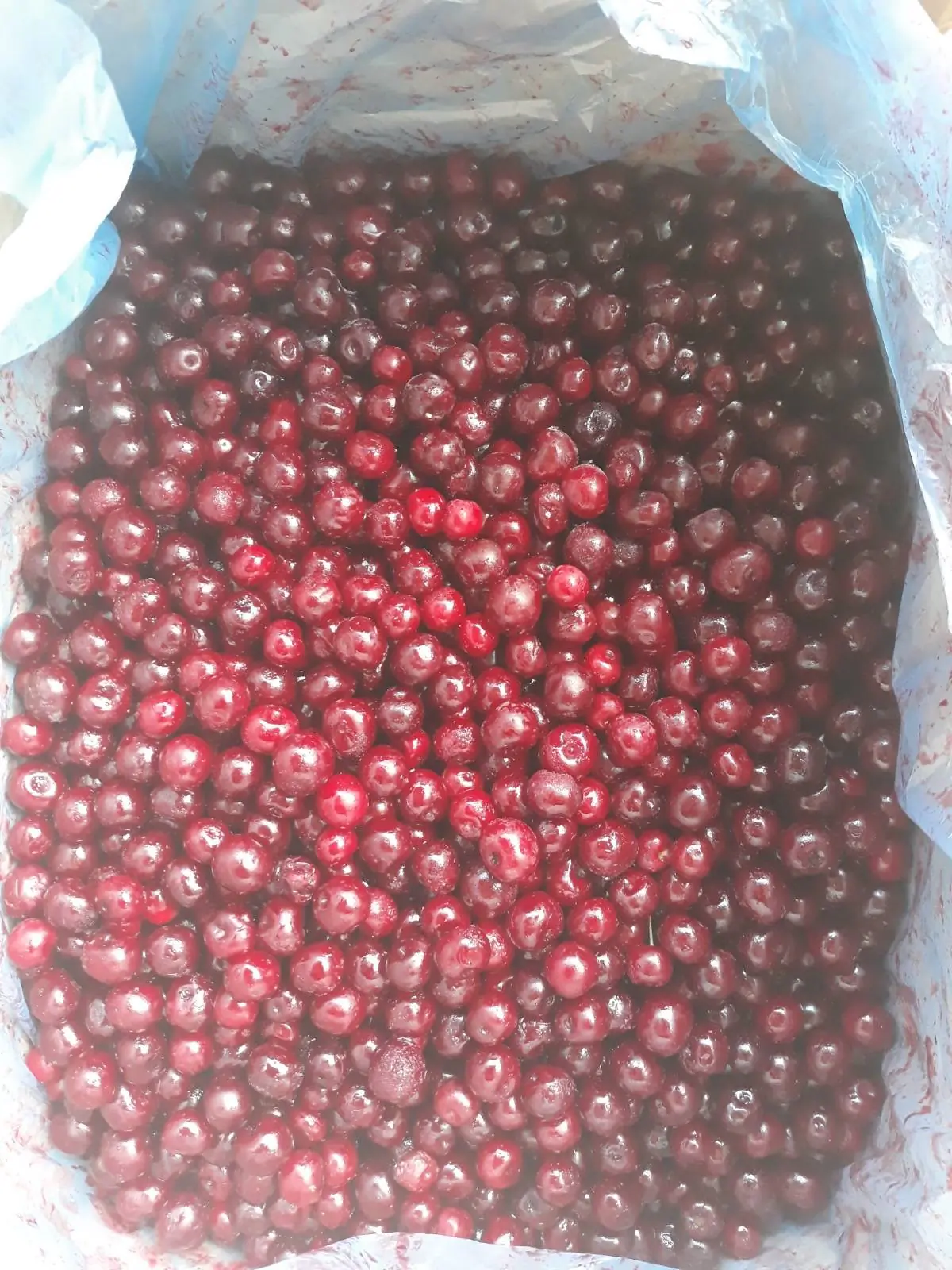 Frozen sour cherries in a carton